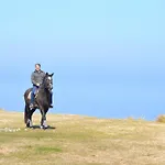 Paladin Teichhof Fehmarn Wenkendorf
