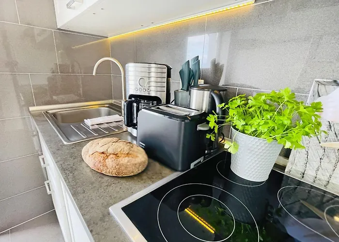 Paladin Teichhof Fehmarn Appartement *